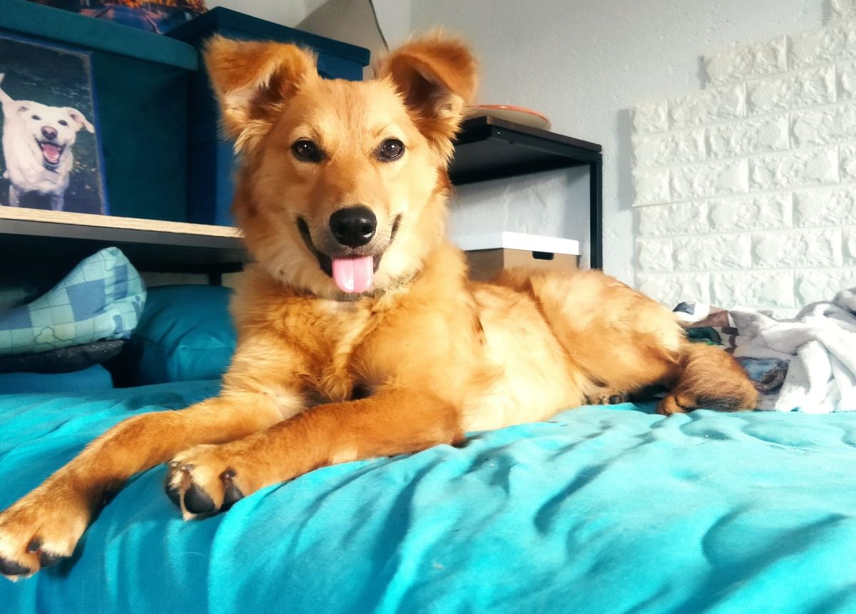 Clementina06